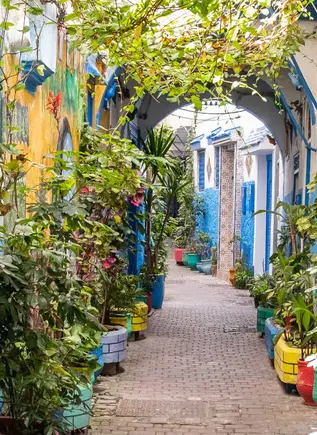 Excursión de un día a Tanger desde Tarifa