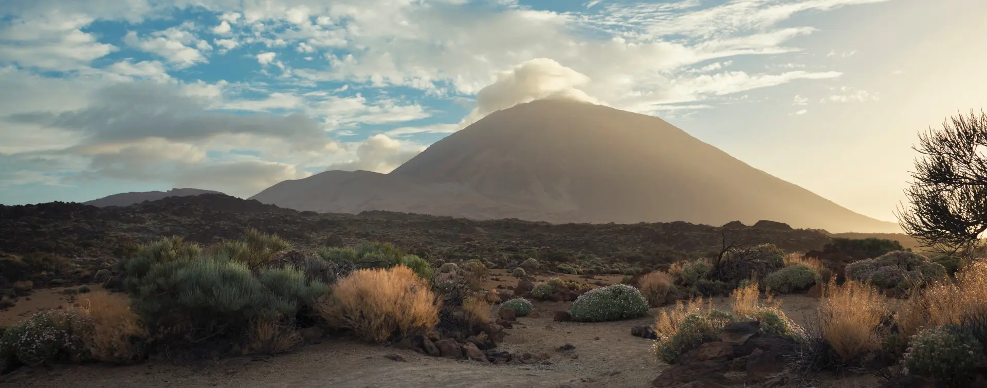 Pico Teide en el parque Nacional de Tenerife - Excursión al Teide, Icod, Garachico y Masca desde Tenerife Sur - Tours y Visitas guiadas Buendía Islas Canarias