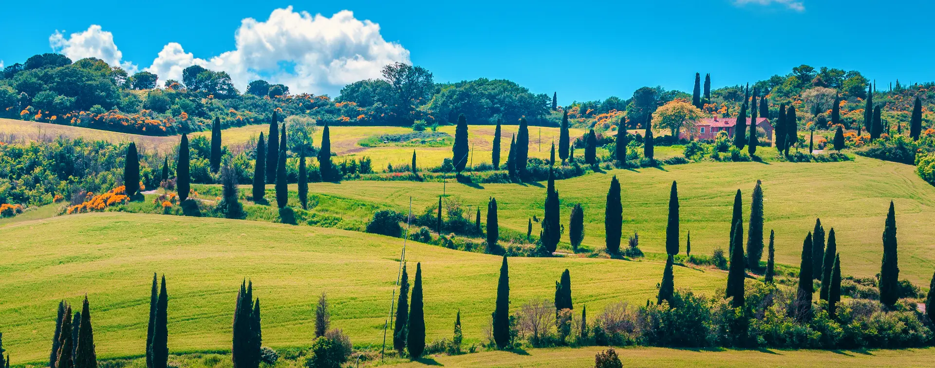 Excursión a Pienza y Montepulciano con cata de vinos - Visitas guiadas y Excursiones en español Buendía Italia