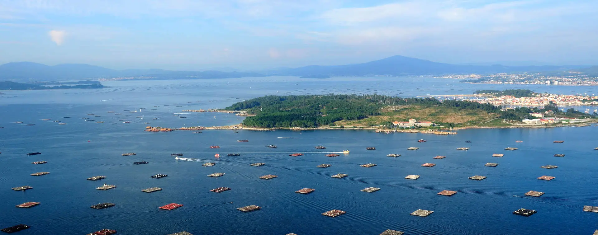 Paseo en barco por la ría y degustación de mejillones en O Grove