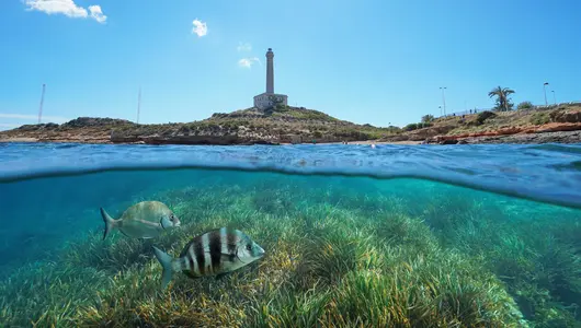 cabo de palos