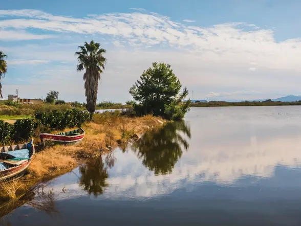 Barcas amarradas a la orilla del lago de la Albufera de Valencia al atardecer