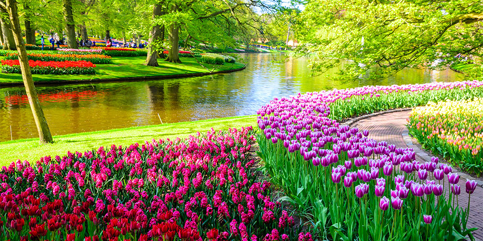 Excursión al Parque de Tulipanes de Keukenhof desde Ámsterdam - Buendía