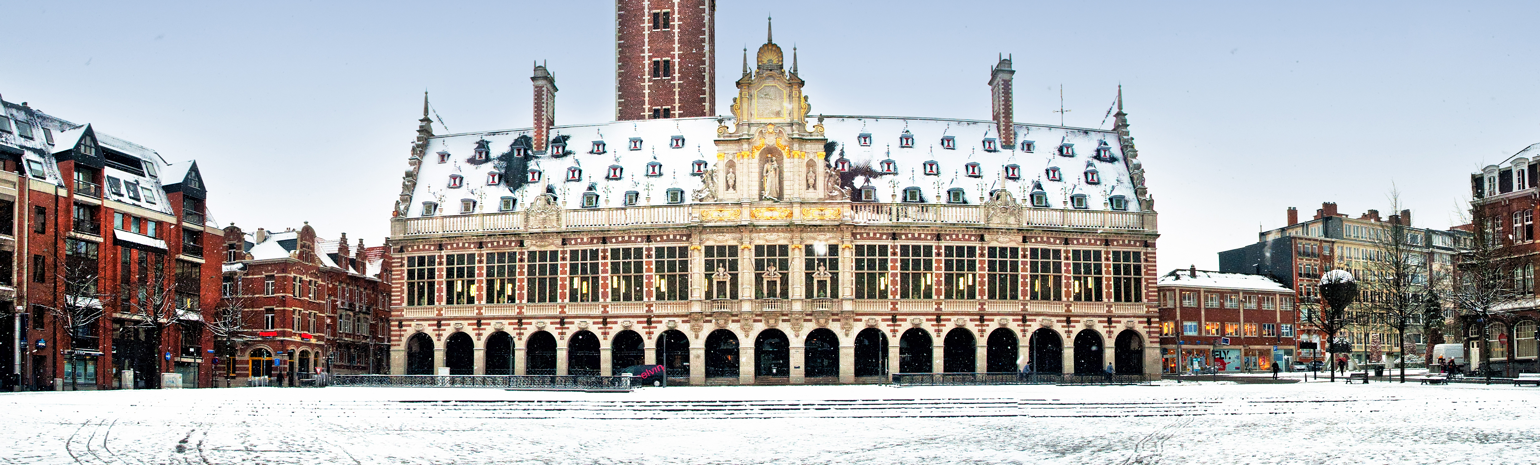 Tours privados en Lovaina