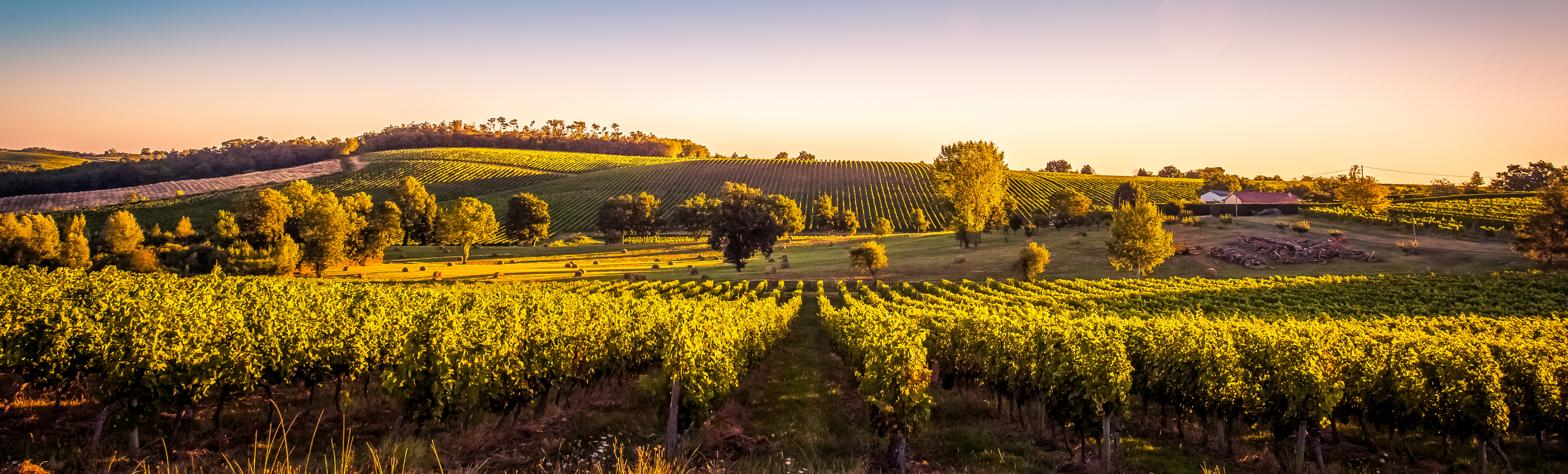 Entradas y tickets en Burdeos