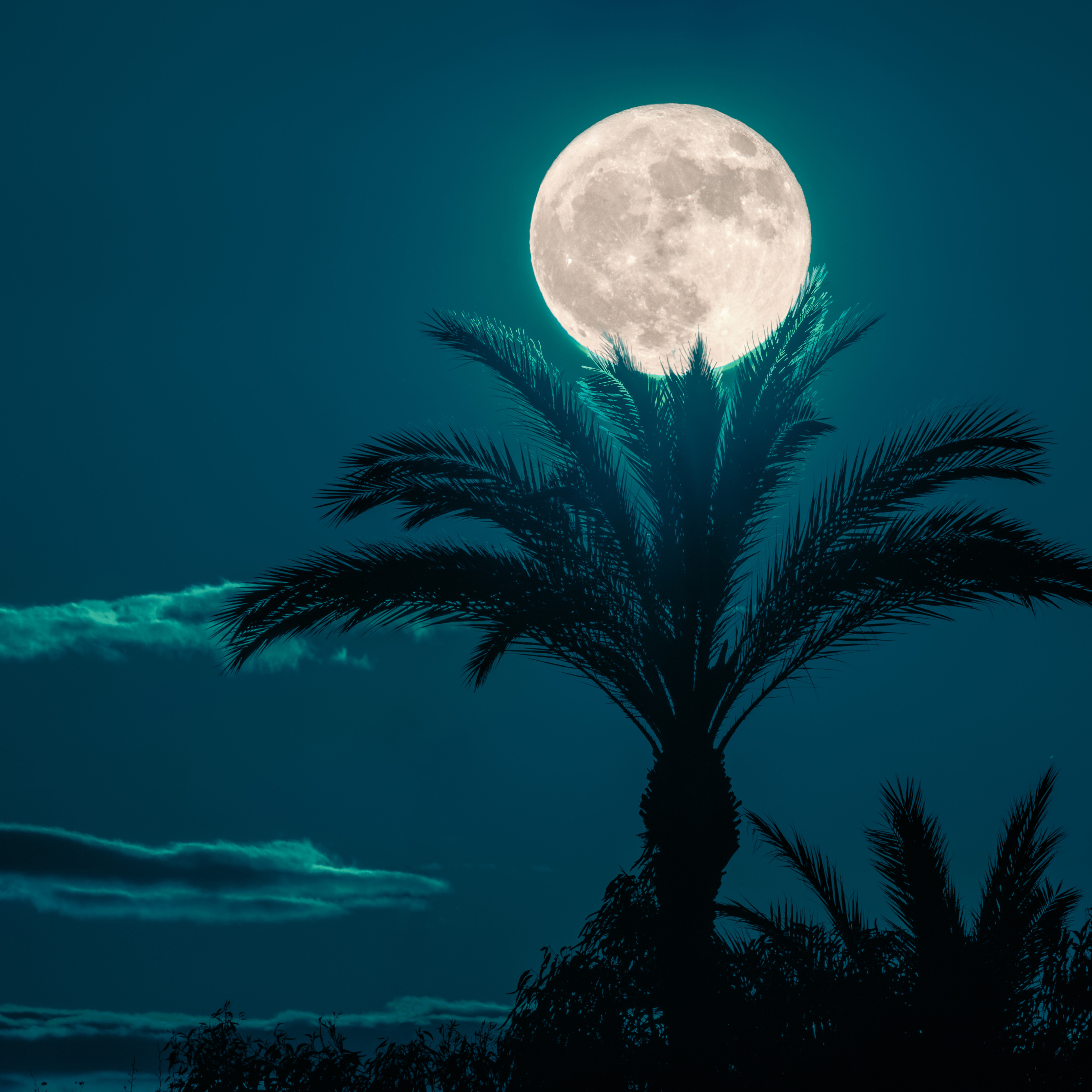 Visitar Palma de mallorca al atardecer