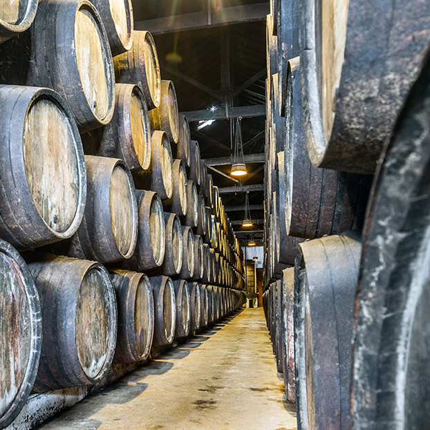 Barricas de vino en Oporto - Tour por Vila Nova de Gaia y sus bodegas - Actividades y Excursiones Buendía Portugal