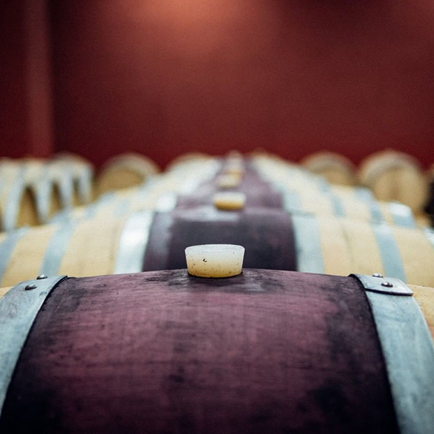 Sala de barricas de vino de roble - Visita y Cata en la Bodega Verderrubí - Excursiones y Actividades Buendía Valladolid, Castilla y León