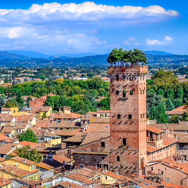 La Torre de Guinigi - Excursión a Lucca y Pisa desde Florencia - Actividades y Excursiones Buendía Toscana, Italia