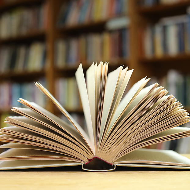 Visita guiada basada en la Novela la sombra del viento en Barcelona - Tour La Sombra del Viento - Actividades y Excursiones Buendía Cataluña