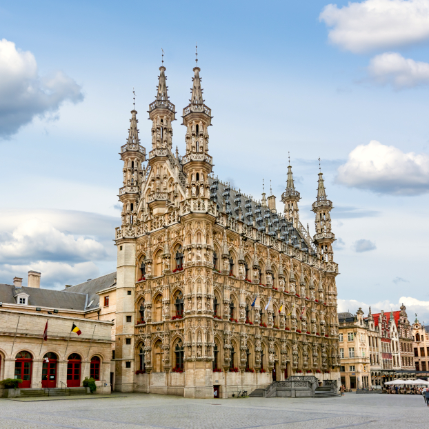 Catedral y Ayuntamiento en la gran plaza de Lovaina - Free Tour Lovaina imprescindible - Visitas guiadas y Excursiones Buendía Bélgica