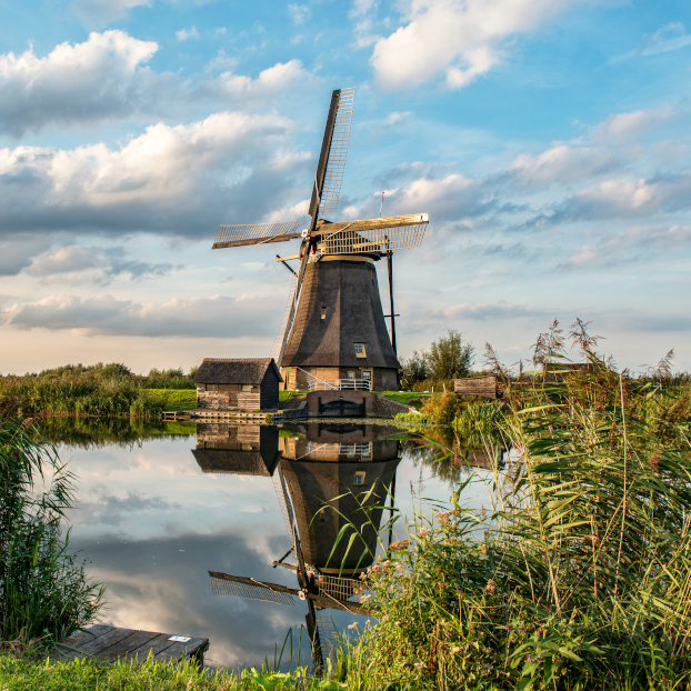 Molinos de Kinderdijk - Excursión Privada a Gouda y Kinderdijk desde Ámsterdam - Visitas guiadas y Free tour en español Buendía Holanda