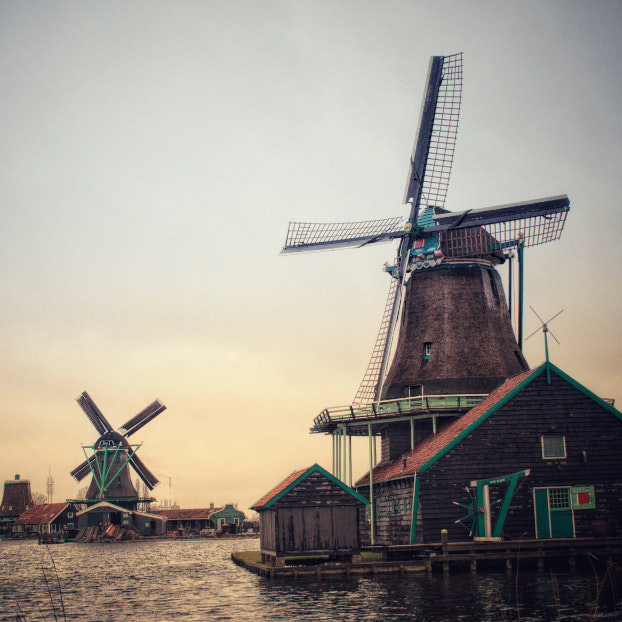 Parque de molinos de viento - Excursión Privada a los Molinos de Zaanse Schans y el Gran Dique - Visitas guiadas y Free tour en español Buendía Holanda