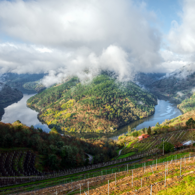 Ribeira Sacra - Excursión a la Ribeira Sacra desde Santiago - Excursiones y Actividades en Santiago de Compostela - Buendía 