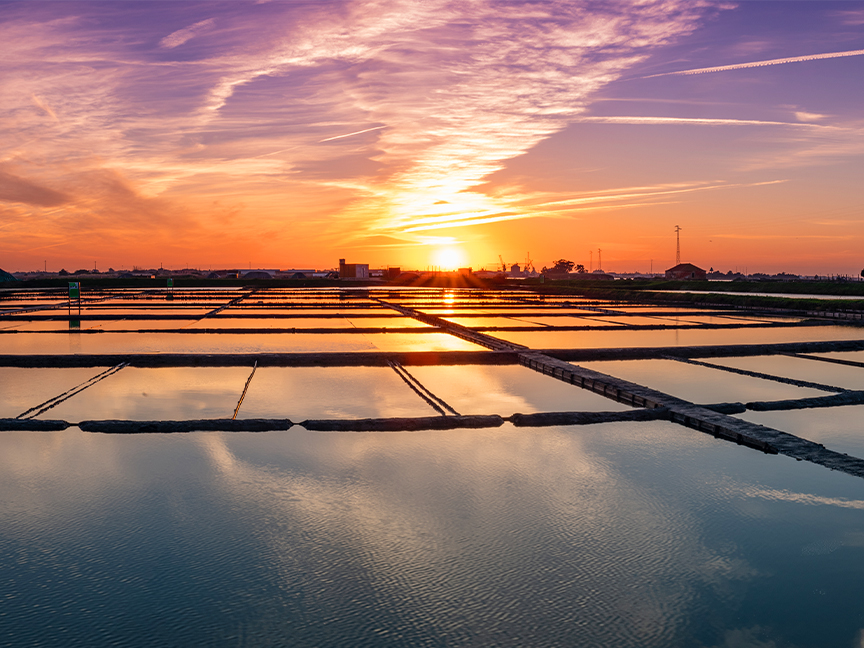 Visita guiada por las Salinas y Playas de Aveiro con Paseo en Moliceiro-Buendía 