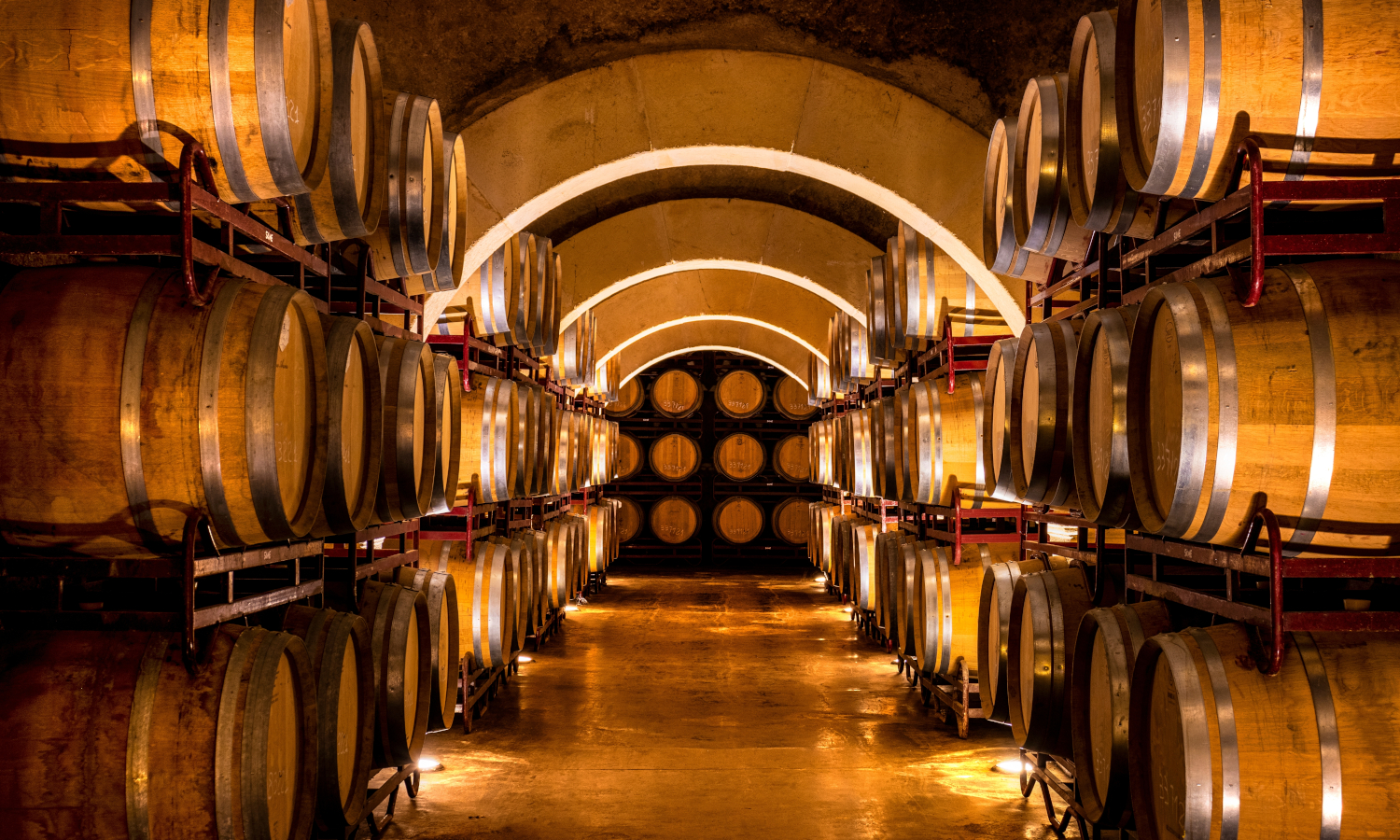 Adéntrate en una de las bodegas de vino más famosas y prueba dos de sus variedades mientras descubres las curiosidades de este vino único.