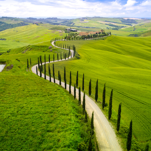 Excursión a Siena y cata de vinos en el Chianti desde Florencia - Visitas guiadas y Excursiones en español Buendía Italia
