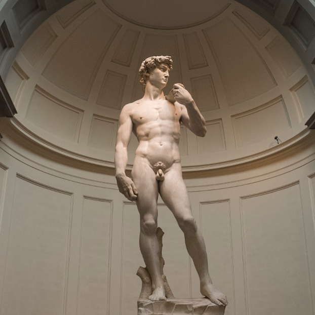 Tour por Florencia y Visita la galería de la Academia - Visitas guiadas y Excursiones en español Buendía 