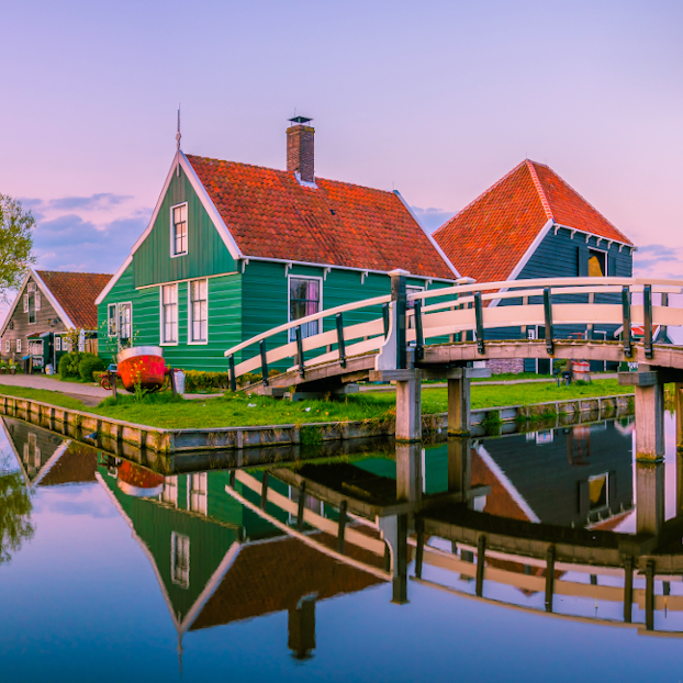 Tour of the Dutch countryside from Brussels