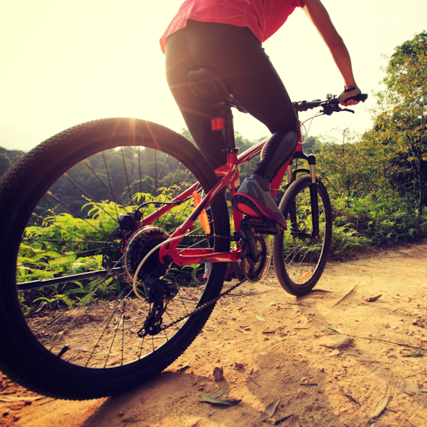 Excursión en Bicicleta de Estepona al Valle del Genal