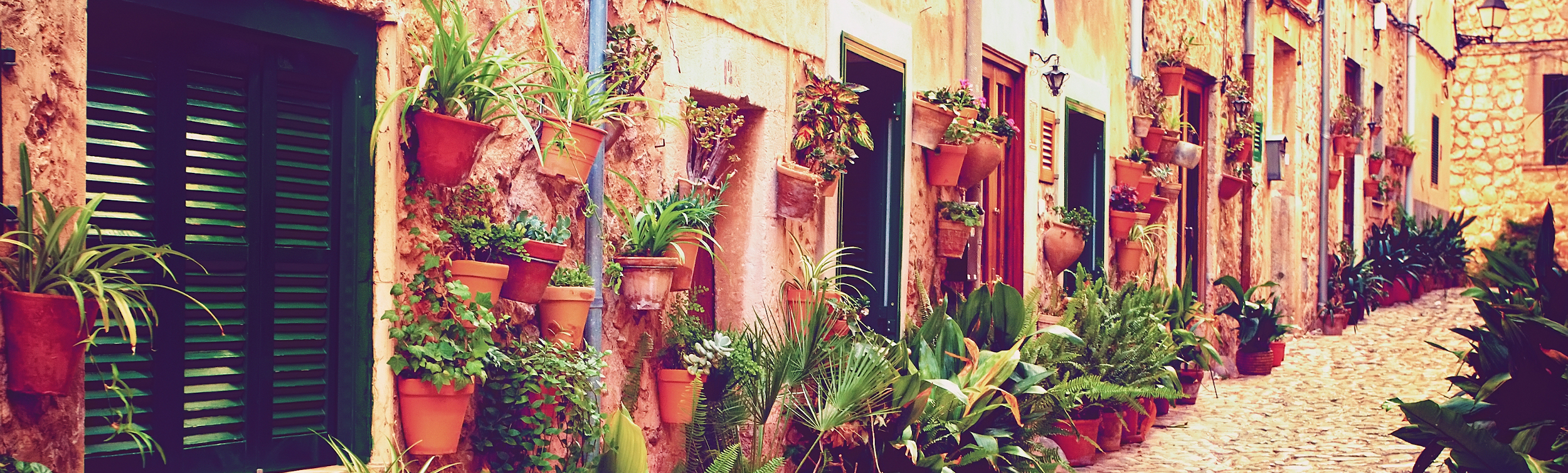 Free tours en Valldemosa