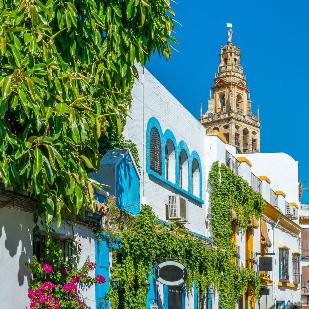 Excursión hasta Córdoba