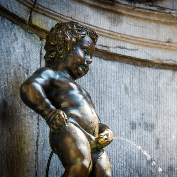 Visita guiada privada de Bruselas