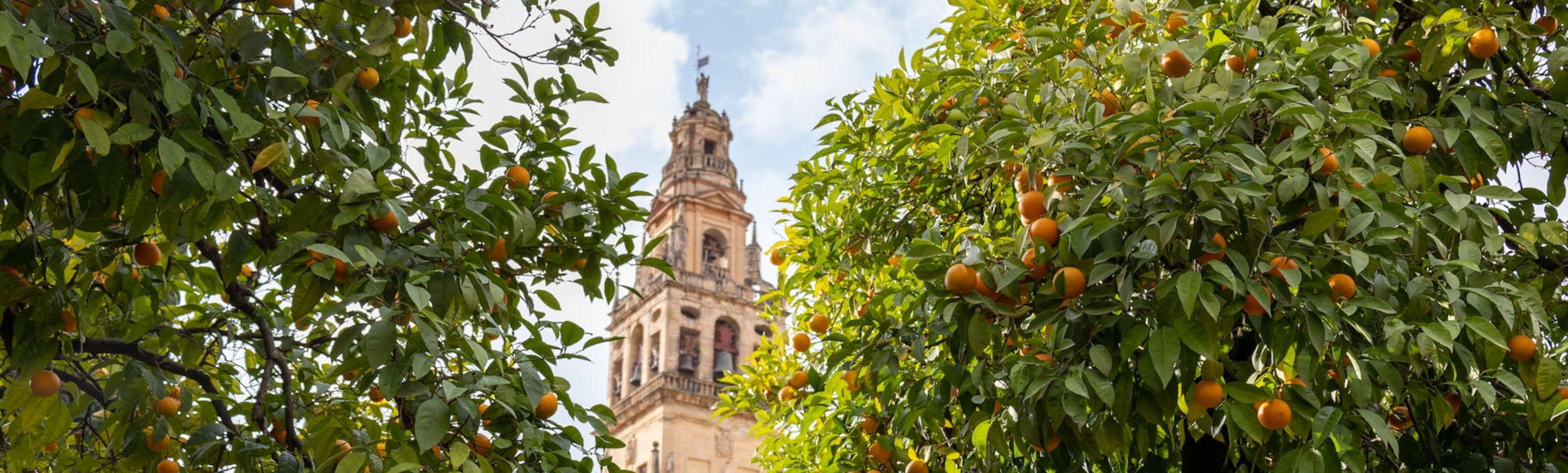 Visitar la Mezquita de Córdoba