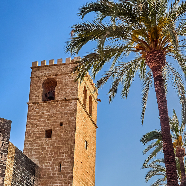 Visita guiada en Jávea