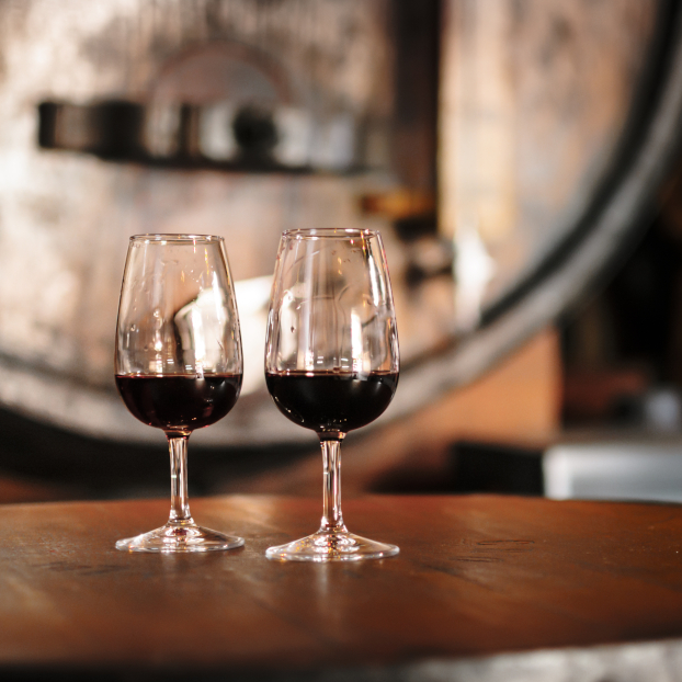 Oporto City Tour con Cata de vino