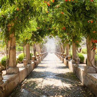 Entradas para Jardines de Alfabia
