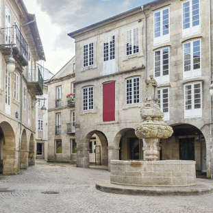 Visita guiada privada por Lugo