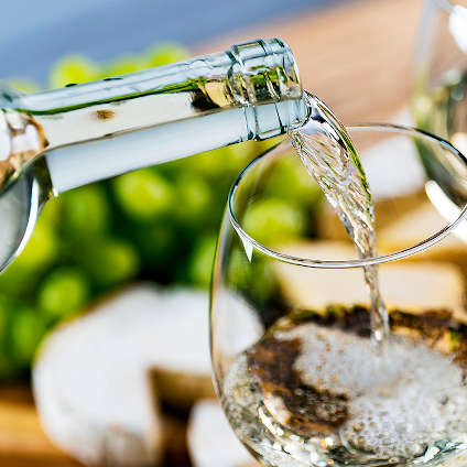 Viñedo de Albariño en las Rías Baixas en Pontevedra