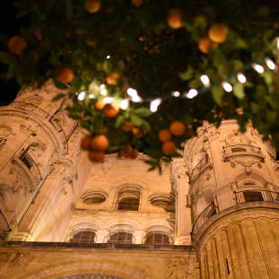 Free tour de Málaga a la atardecerá