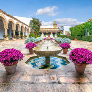 Visita guiada al Palacio de Viana y sus patios