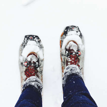 Excursión en Raquetas de Nieve por el Puerto de San Isidro 
