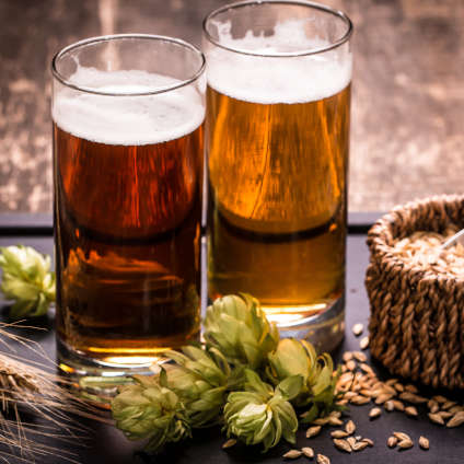 Visita la fábrica de cerveza artesanal en Brimeda, León