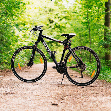 Senda del oso con niños