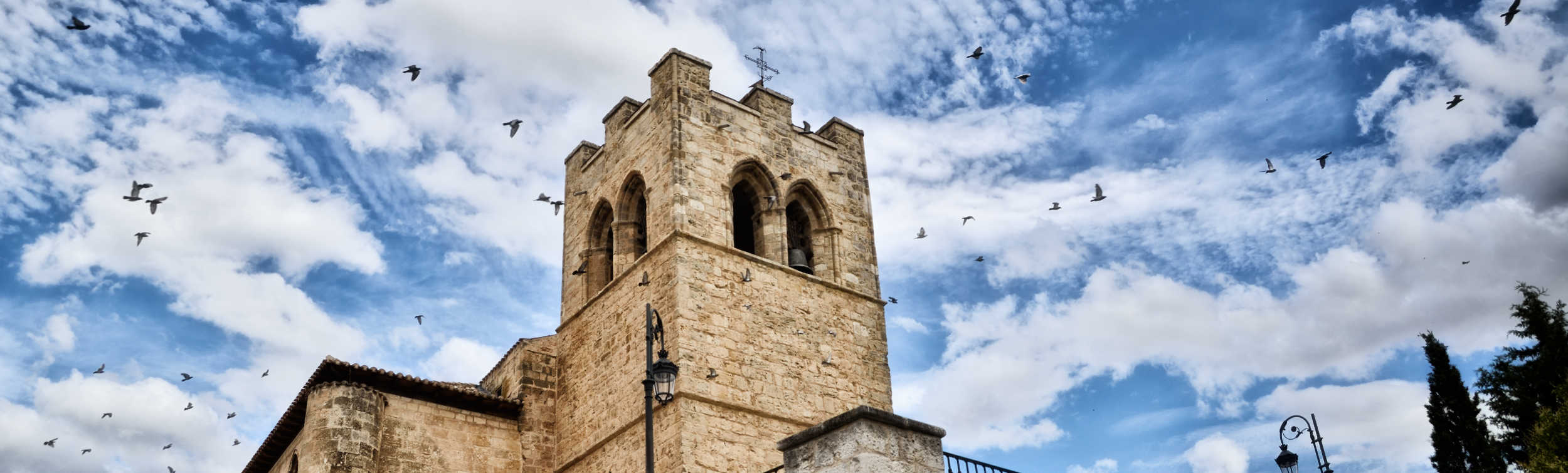 Tours a pie y visitas guiadas en Aranda de Duero