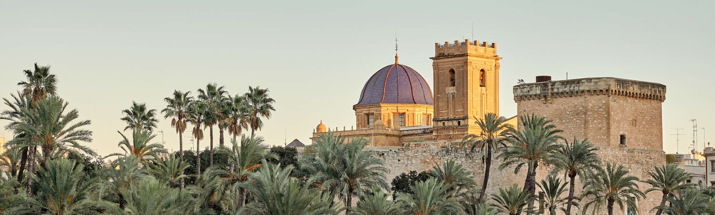 Tours privados en Elche