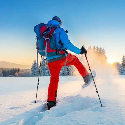 Ruta en Raquetas de Nieve por Fuentes de Invierno
