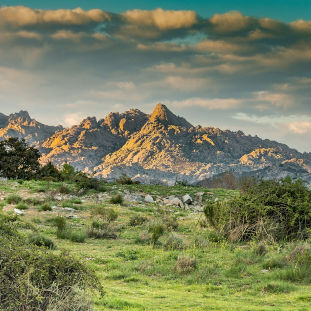 Excursión al Parque Nacional de Guadarrama desde Madrid
