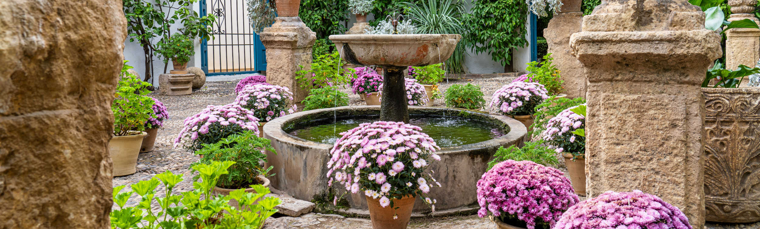 Visitar los Patios de Córdoba