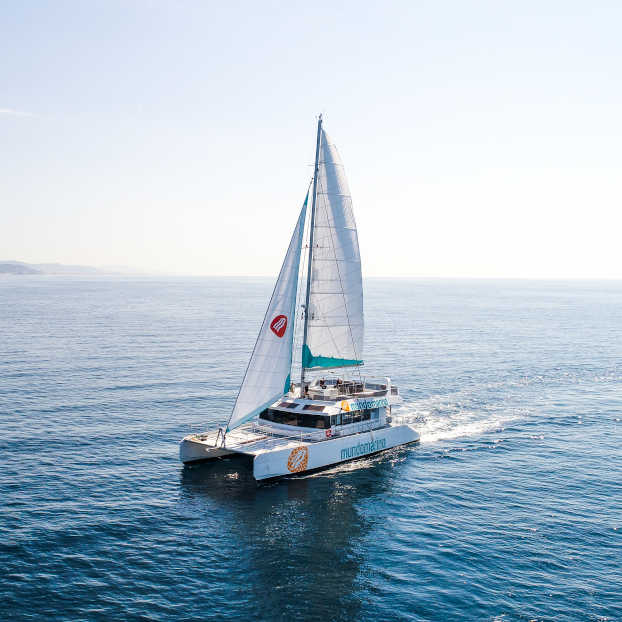 Excursión en Barco en la Costa del Sol