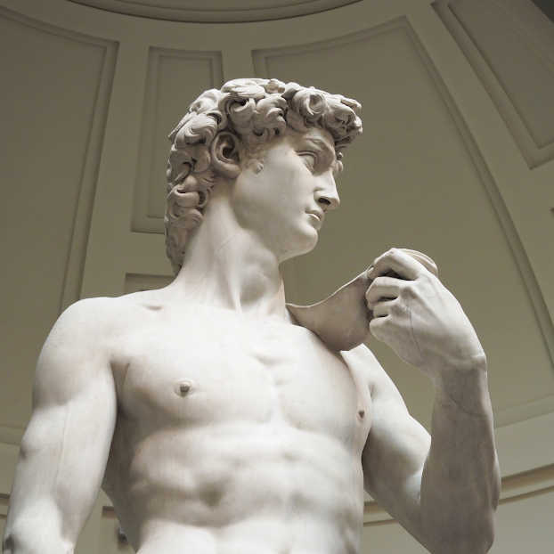 Visita guiada por la Galería de la Academia en español