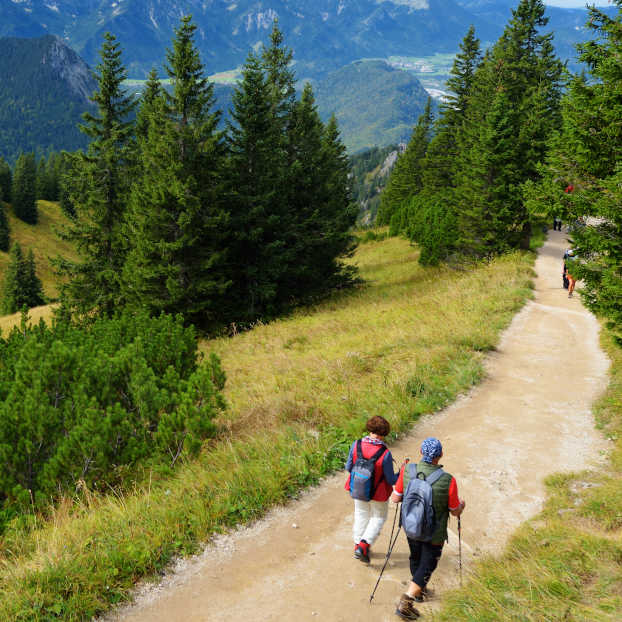 Excursión a Los Reales de Sierra Bermeja desde Málaga 