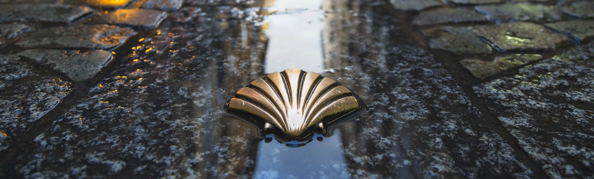 Paseos en barco en Santiago de Compostela