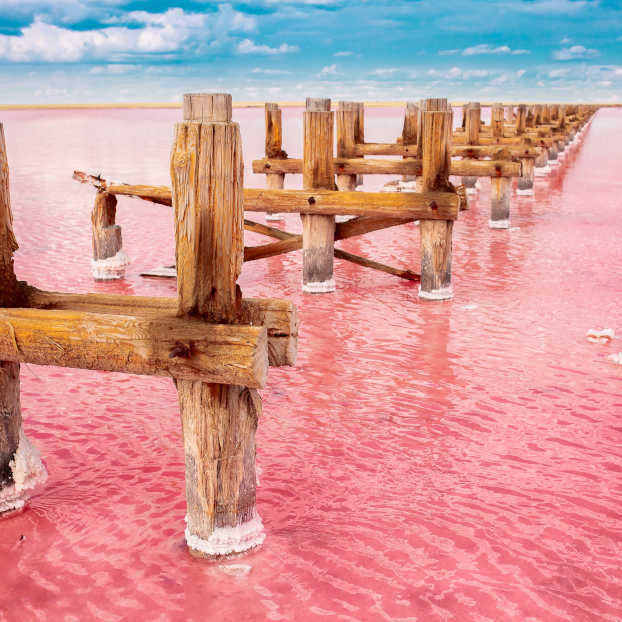 Visita guiada por las Salinas de Torrevieja