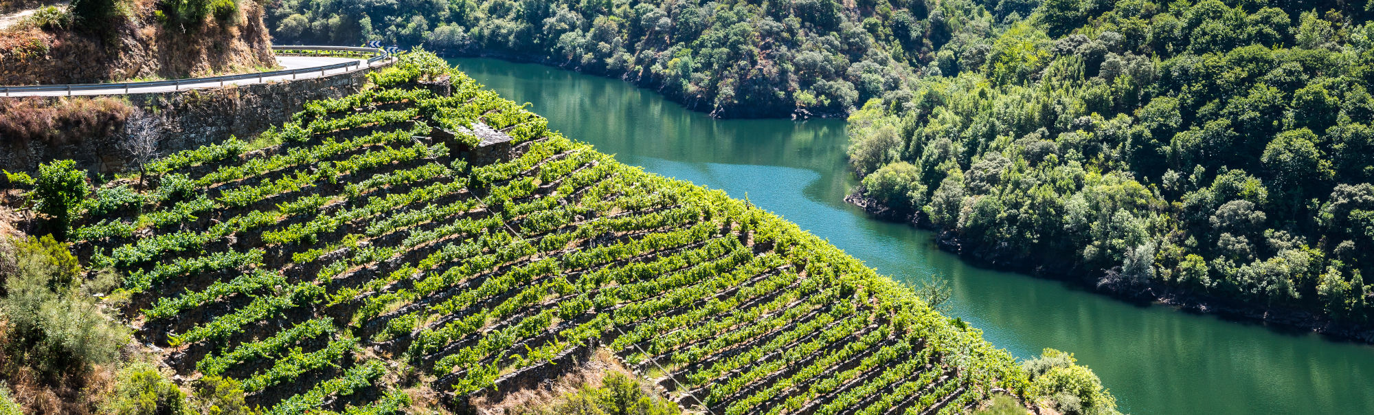 Ribeira Sacra, Galicia, España