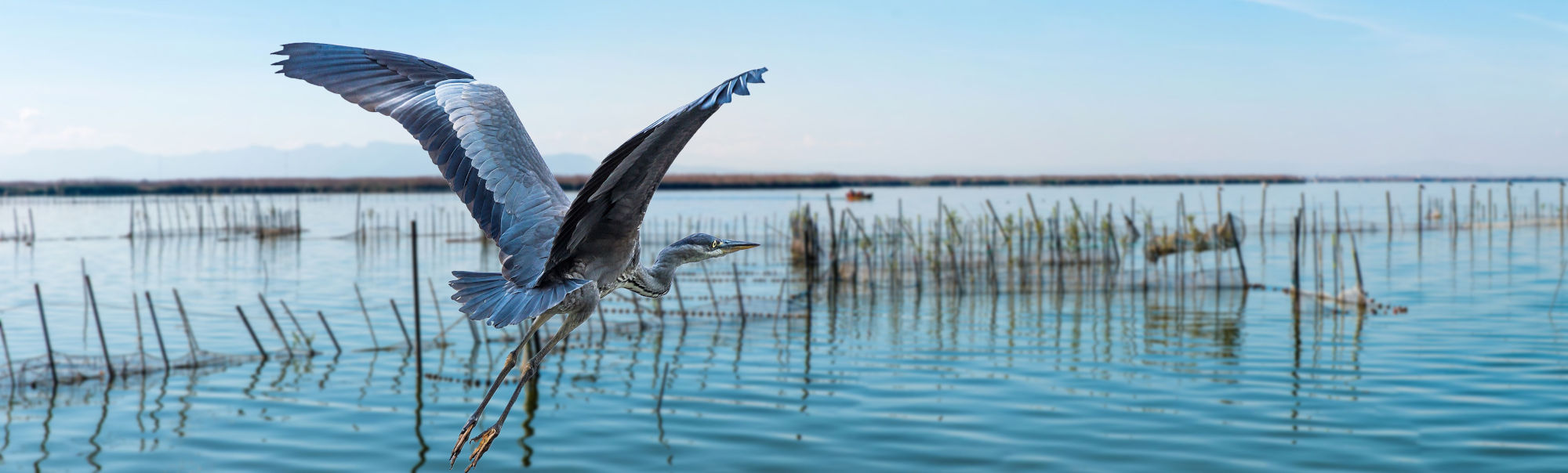 Parque Natural de la Albufera